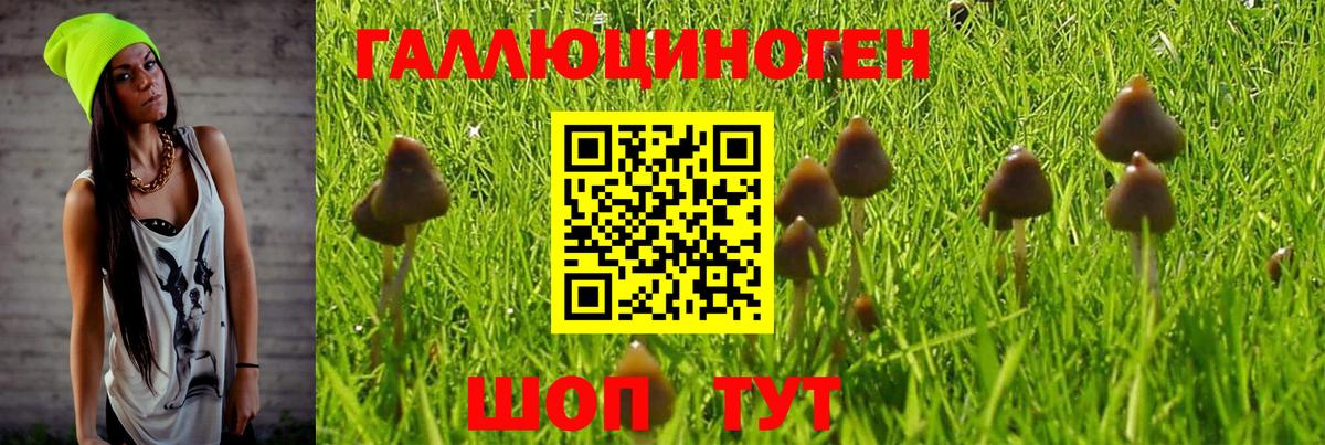 Дзержинский  Псилоцибиновые грибы Magic Shrooms  Вход с VPN 